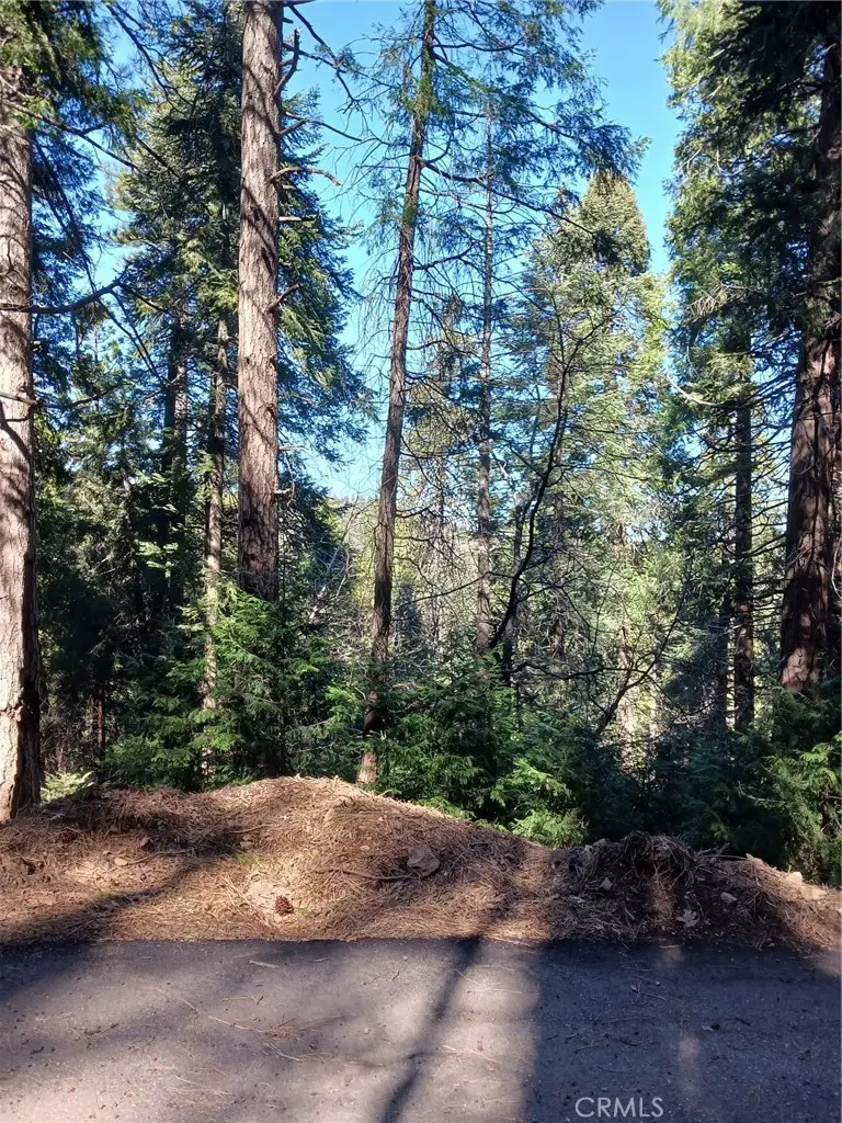 35 Spring Drive, Cedarpines Park, CA 92322 - #1