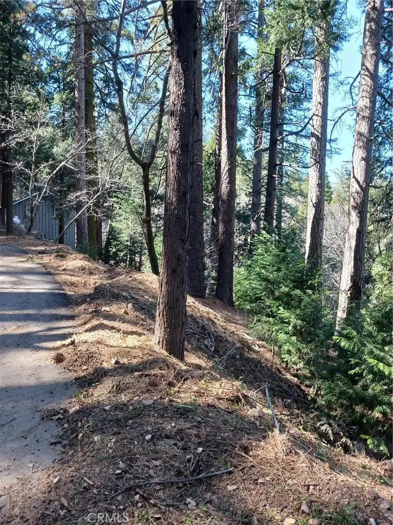 35 Spring Drive, Cedarpines Park, CA 92322 - #2