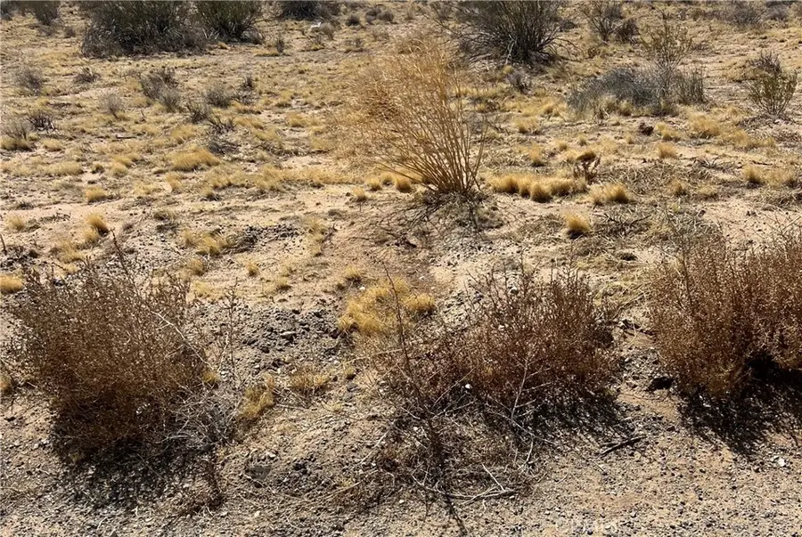 0 Resin Rd, Victorville Hesperia, CA 92886 - #2