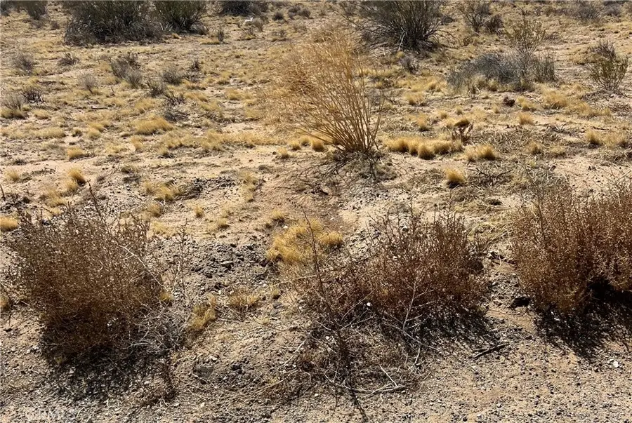 0 Highway 395, Adelanto, CA 92886 - #2