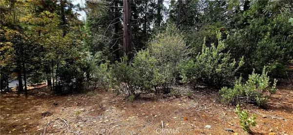 308 Pioneer Road, Lake Arrowhead, CA 92352