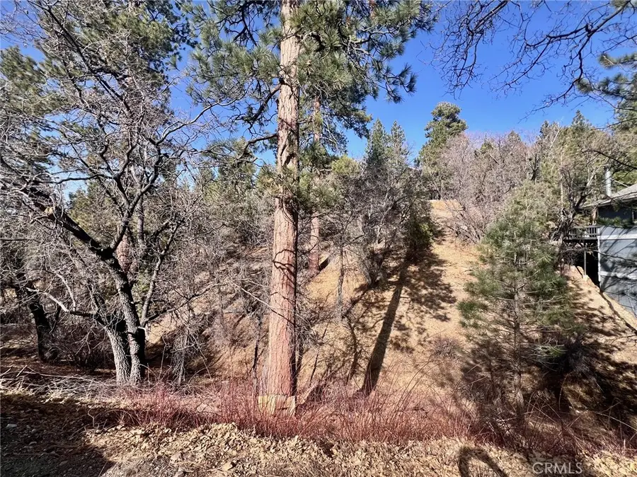 1230 S Minton Avenue, Big Bear City, CA 92314 - Image #3