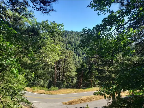 21858 Fern Canyon Road, Cedarpines Park, CA 92322