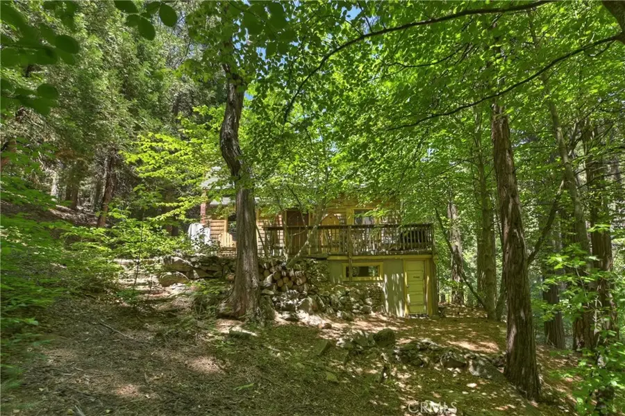 714 Blue Jay Canyon Road, Lake Arrowhead, CA 92317 - #3