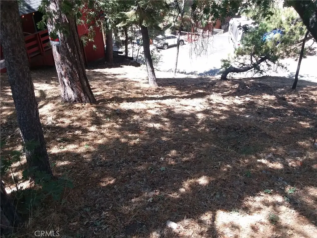 32960 Lone Pine Drive, Big Bear, CA 92382 - #1