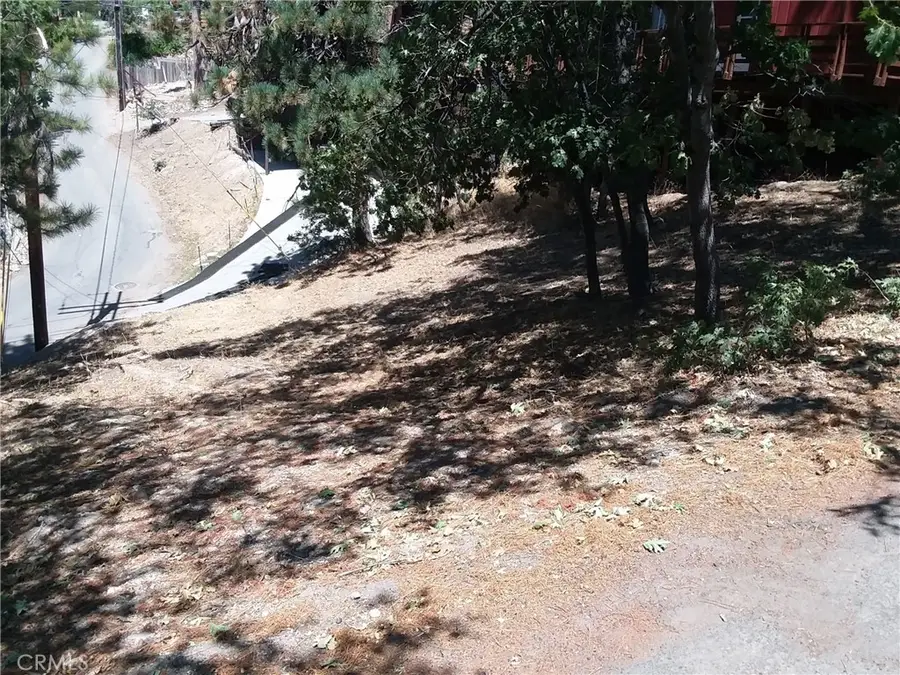 32960 Lone Pine Drive, Big Bear, CA 92382 - #3