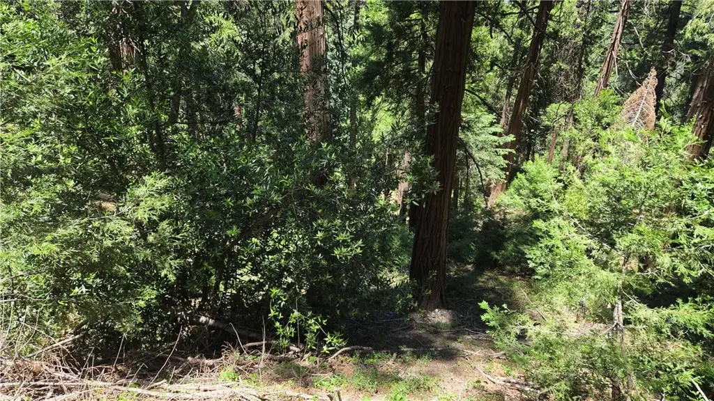 0 Deer Run Road, Cedarpines Park, CA 92322 - #1