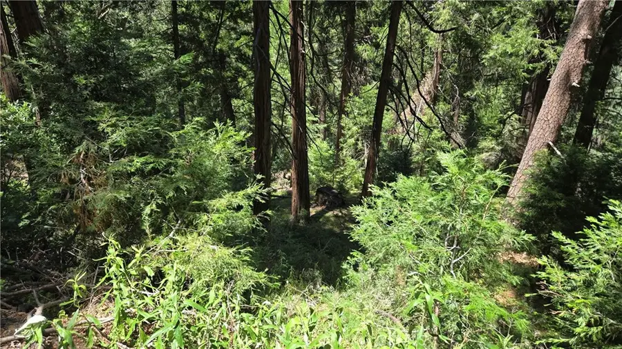 0 Deer Run Road, Cedarpines Park, CA 92322 - #2