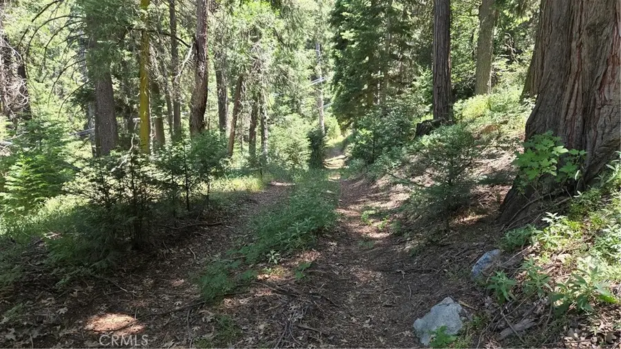 0 Deer Run Road, Cedarpines Park, CA 92322 - #3