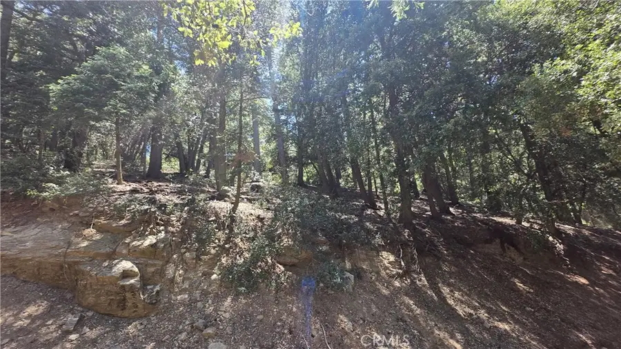 0 Mojave River Road, Cedarpines Park, CA 92322 - #2