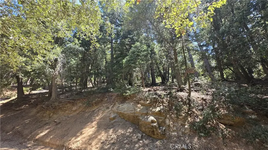0 Mojave River Road, Cedarpines Park, CA 92322 - #3