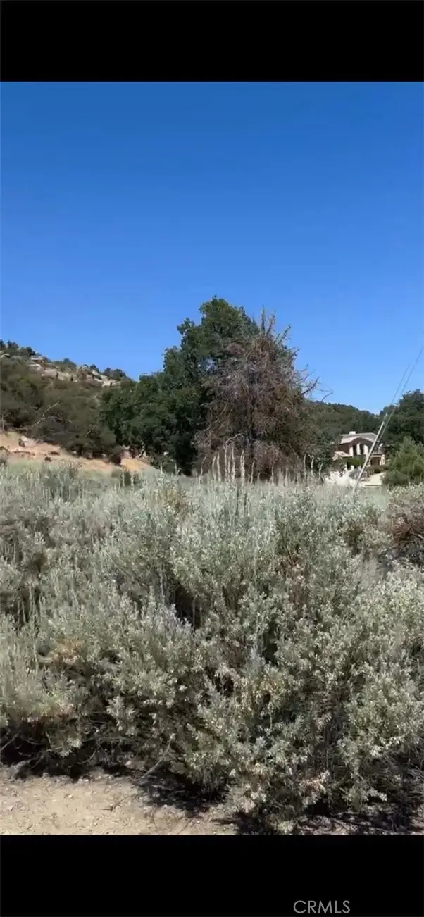 24151 Jacaranda Drive, Tehachapi, CA 93561 - #3