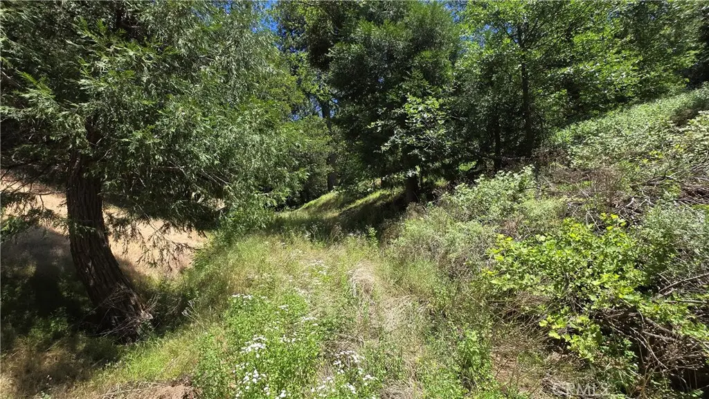 0 Mojave River Road, Cedarpines Park, CA 92322 - #1