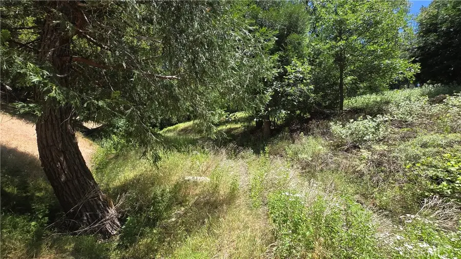 0 Mojave River Road, Cedarpines Park, CA 92322 - #2
