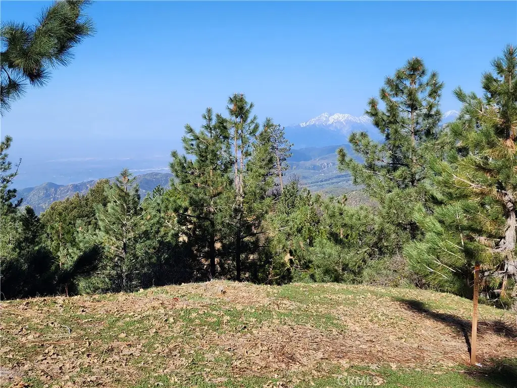 30110 Skyline, Running Springs, CA 92382 - #1