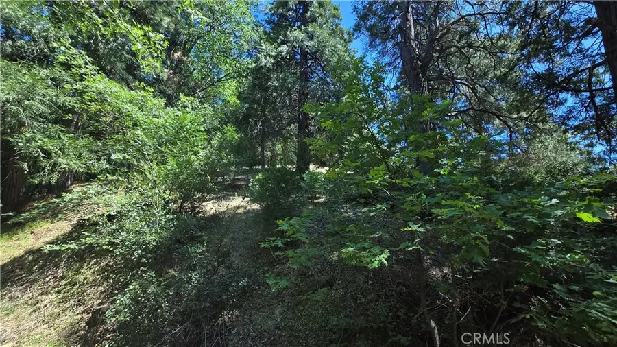 22494 Mojave River Road, Cedarpines Park, CA 92322 - #2