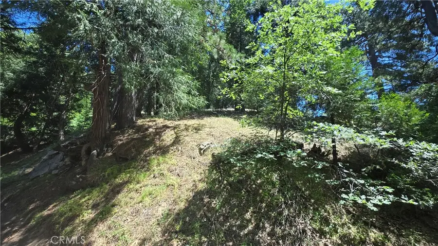 22494 Mojave River Road, Cedarpines Park, CA 92322 - #3