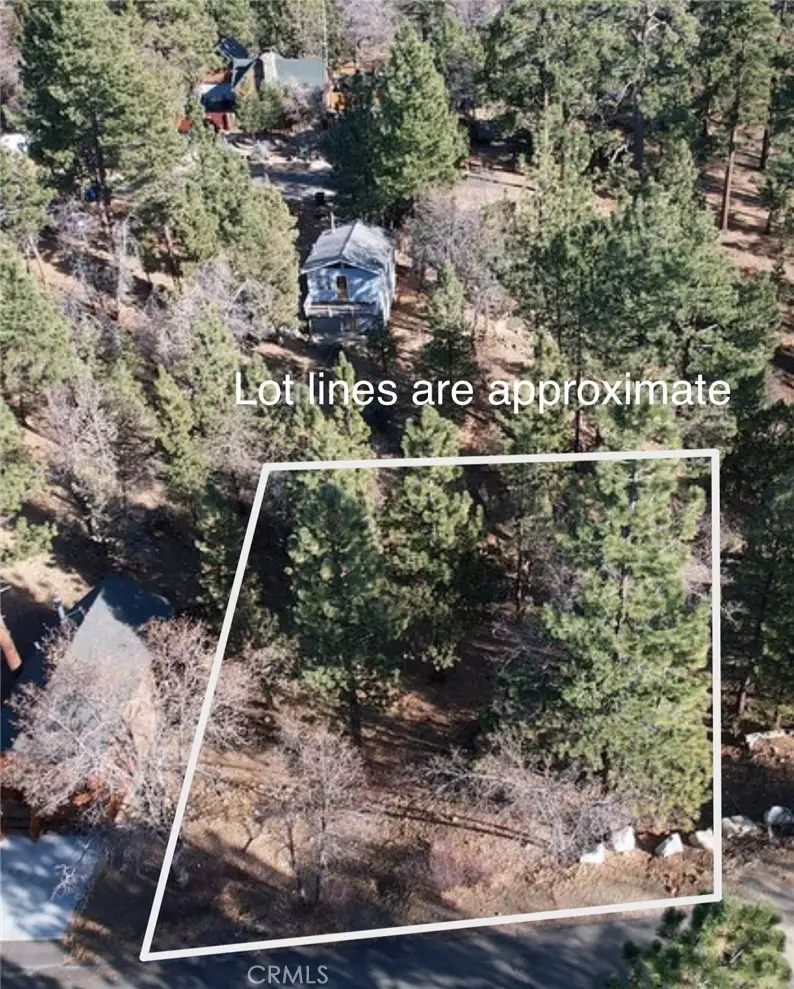 899 Kern Avenue, Sugarloaf, CA 92386 - Image #2