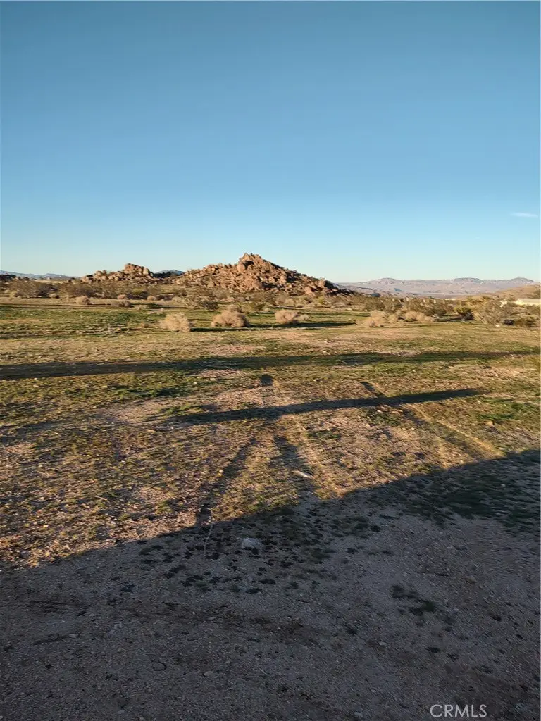 55930 Cone Blvd, Landers, CA 92285 - #2