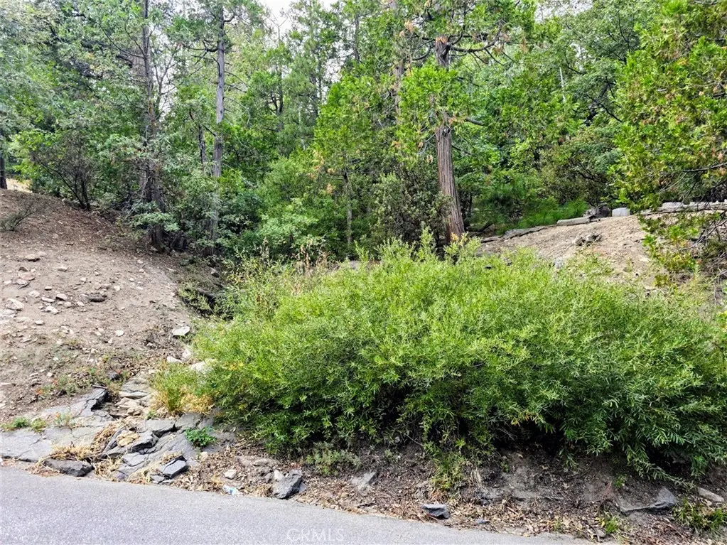 0 Zurich Drive, Lake Arrowhead, CA 92352 - #1