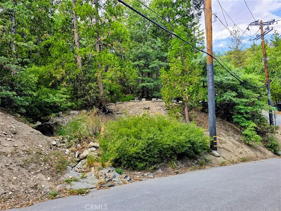 0 Zurich Drive, Lake Arrowhead, CA 92352 - #3