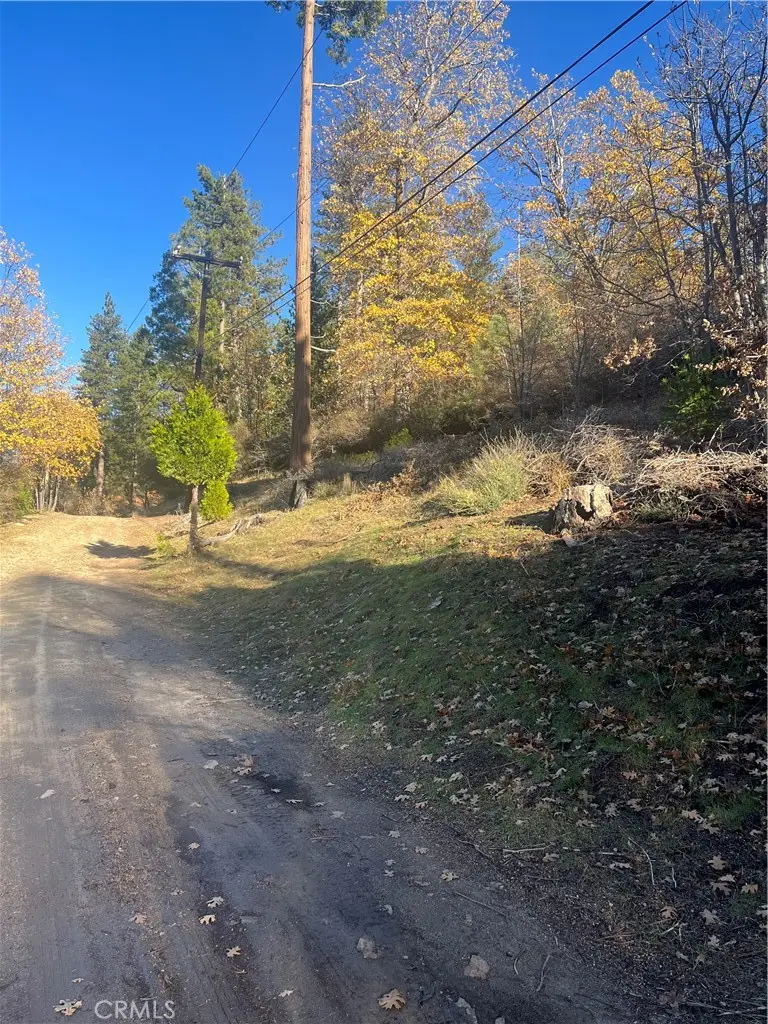 29834 Juniper Drive, Cedar Glen, CA 92321 - #2