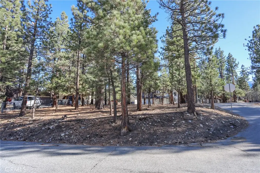 0 Dutch, Big Bear City, CA 92314 - #1