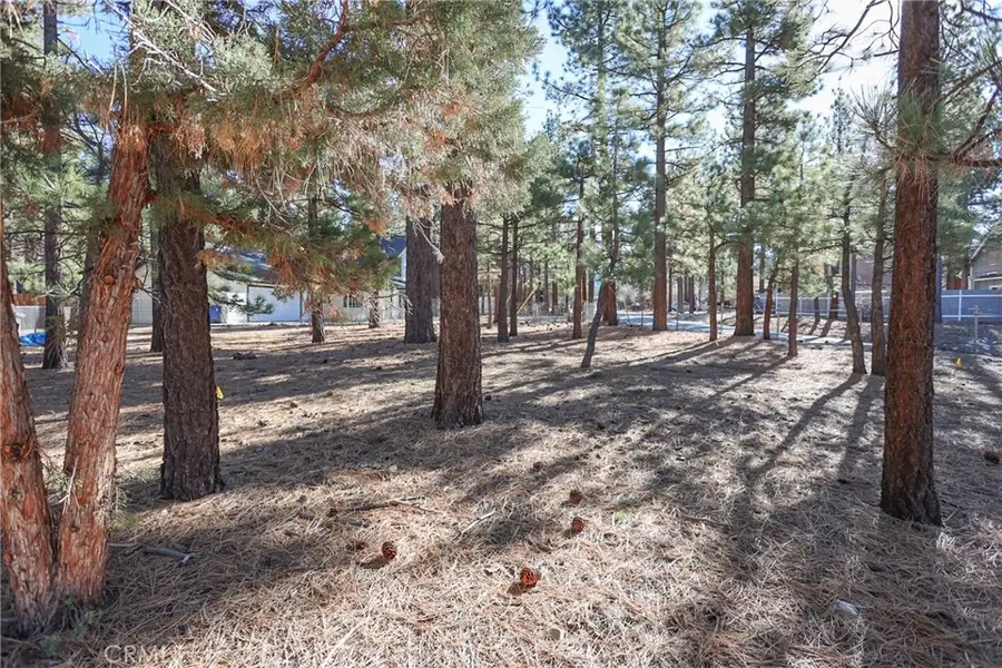 0 Dutch, Big Bear City, CA 92314 - #3