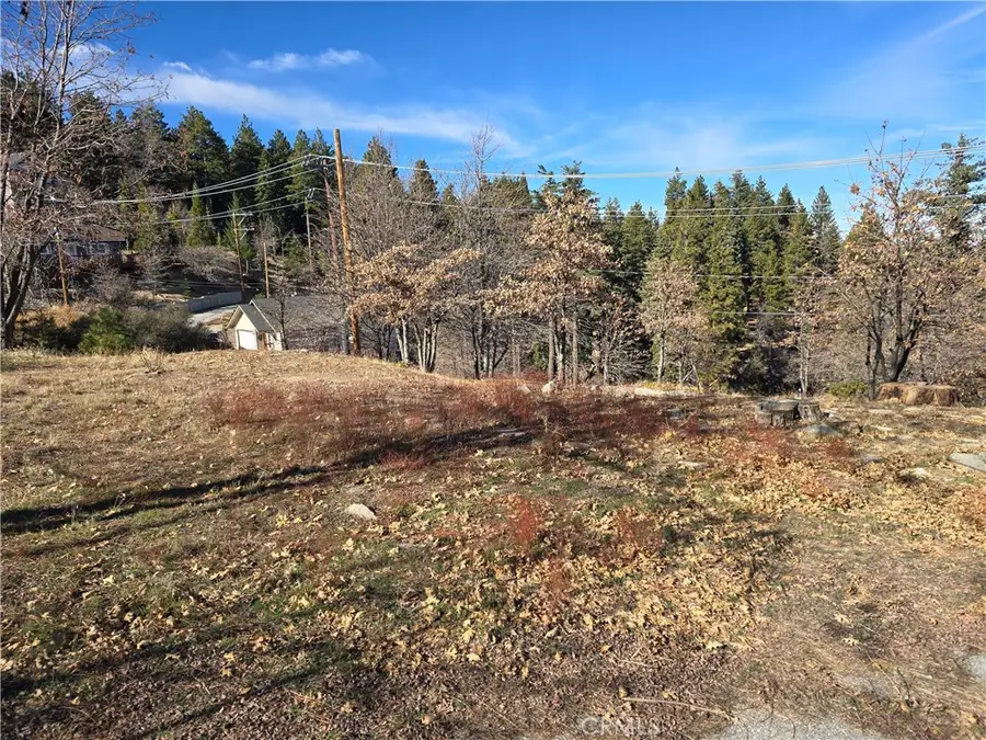 2350 Deep Creek, Running Springs, CA 92382 - Image #2