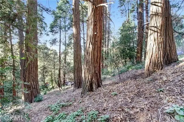 2662 Scenic, Crestline, CA 92325 - #1
