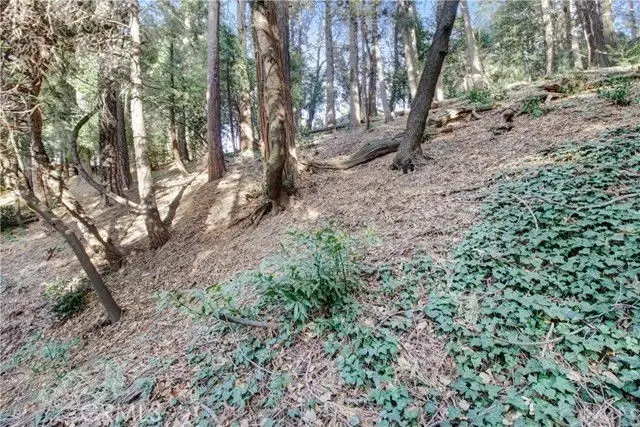 2662 Scenic, Crestline, CA 92325 - #3