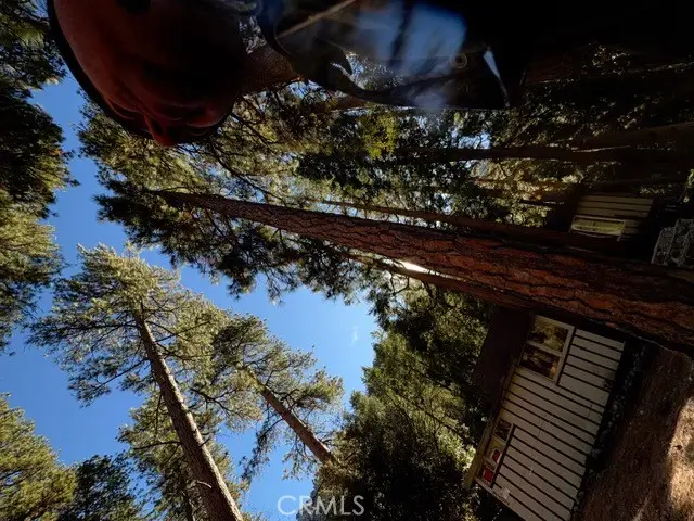 9202 Wood, Forest Falls, CA 92339 - #3