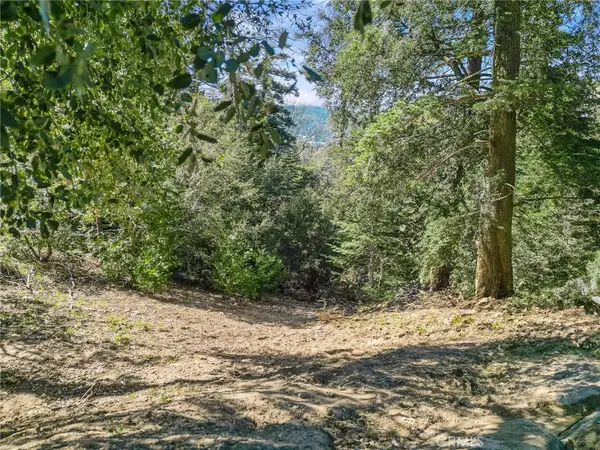 0 Chateau, Crestline, CA 92325