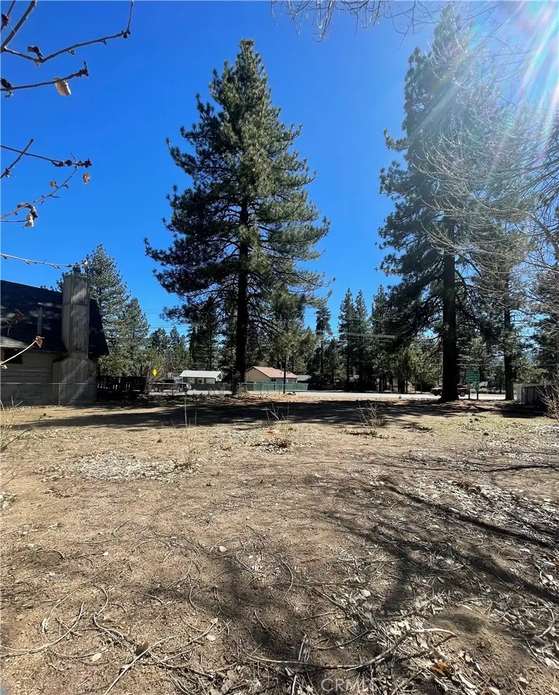 109 W North Shore Drive, Big Bear City, CA 92314 - #3