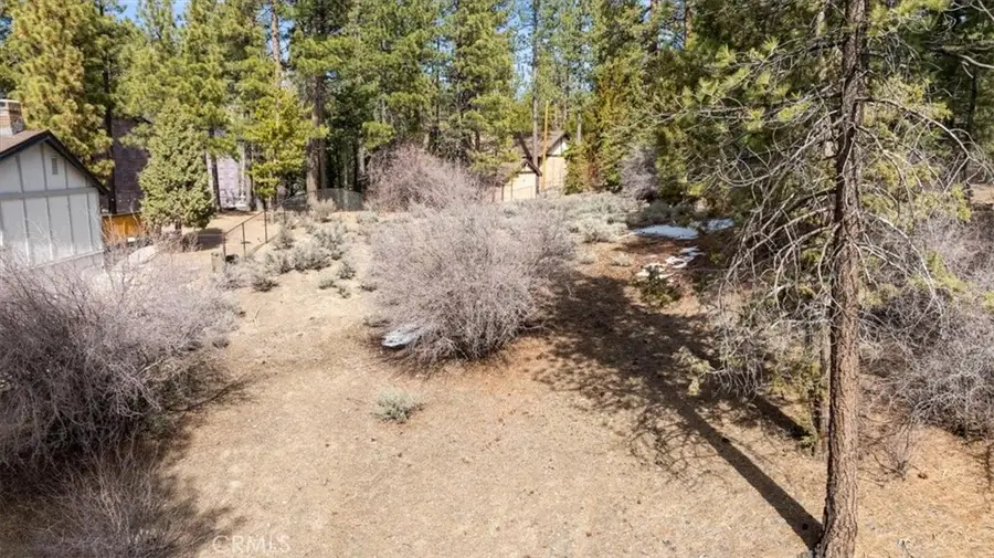 293 Catalina, Big Bear Lake, CA 92315 - #2