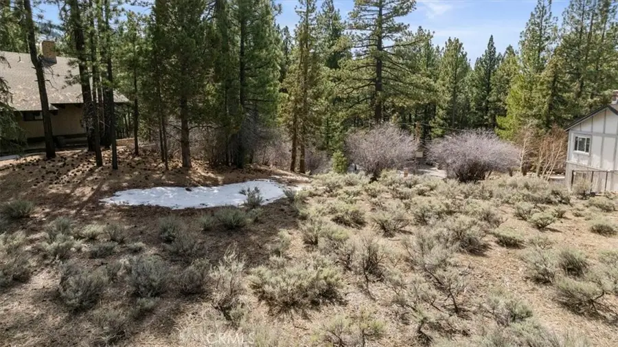 293 Catalina, Big Bear Lake, CA 92315 - #3