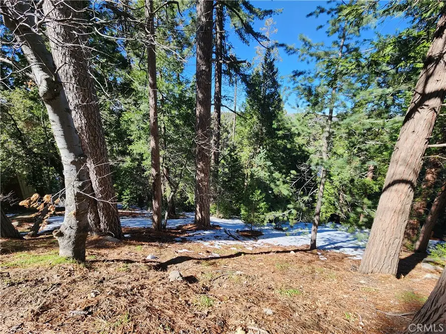 26236 Boulder Lane, Twin Peaks, CA 92391 - #2