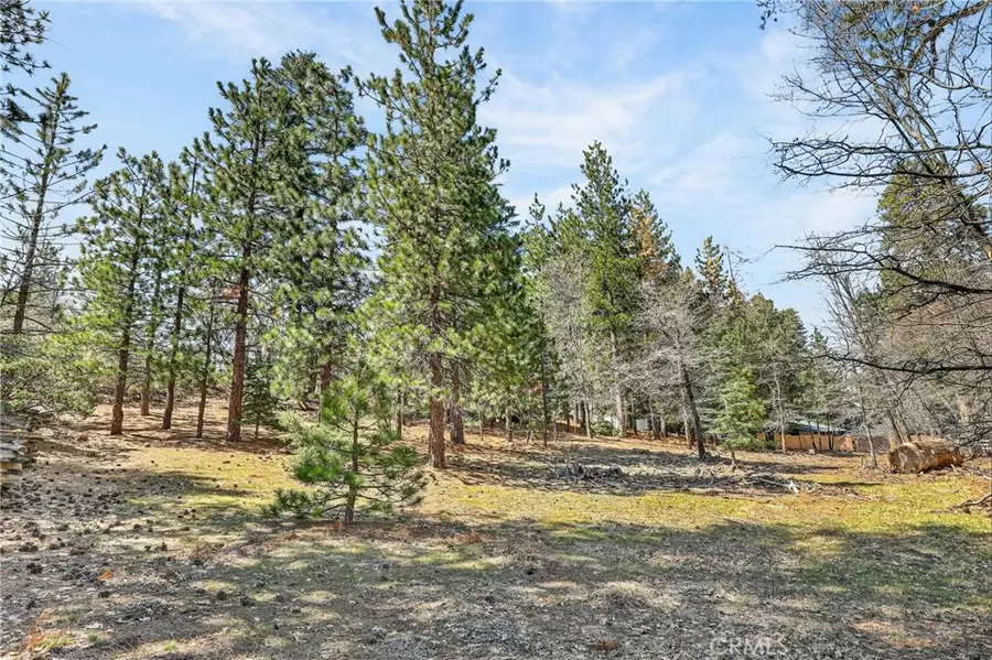 0 Cepu Road, Running Springs, CA 92382 - #2
