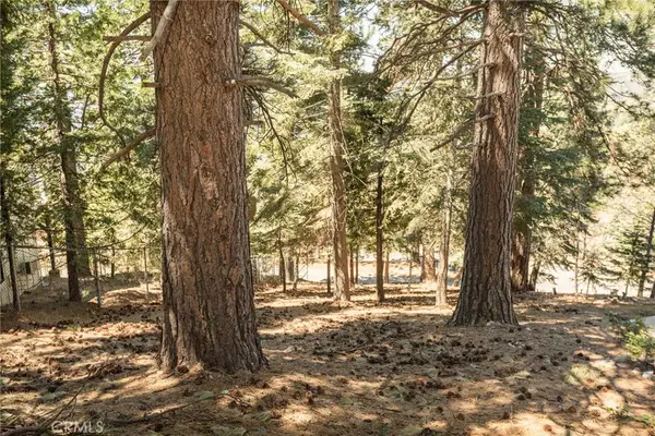 30908 Glen Oak, Running Springs, CA 92382