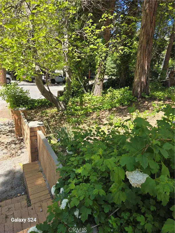 29053 Hook Creek Road, Cedar Glen, CA 92321