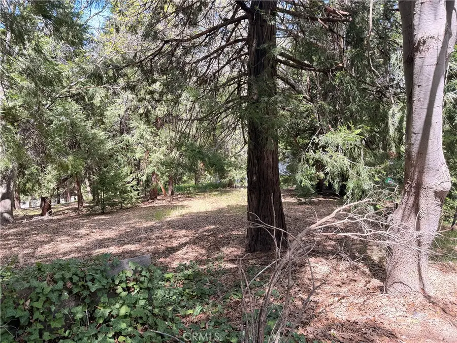 0 Cumberland, Lake Arrowhead, CA 92352 - #2