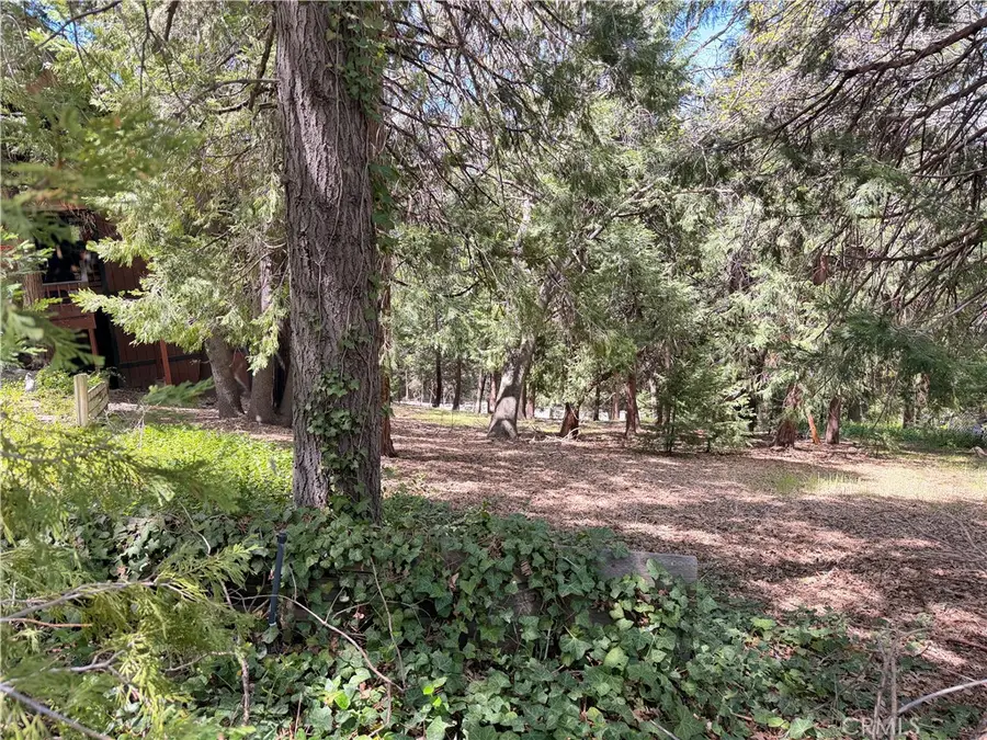 0 Cumberland, Lake Arrowhead, CA 92352 - #3