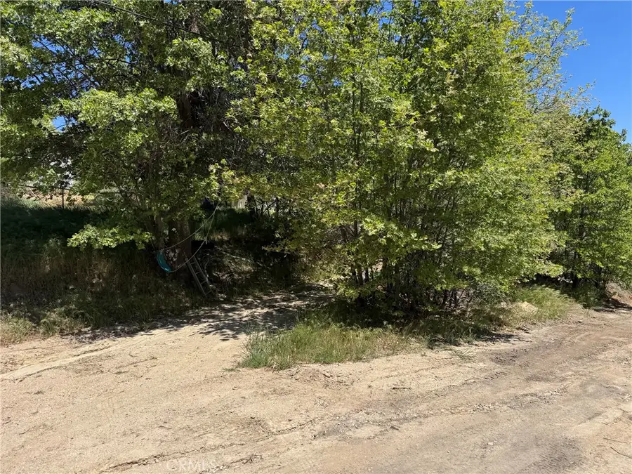 0 Hickory Drive, Cedar Glen, CA 92321 - #2