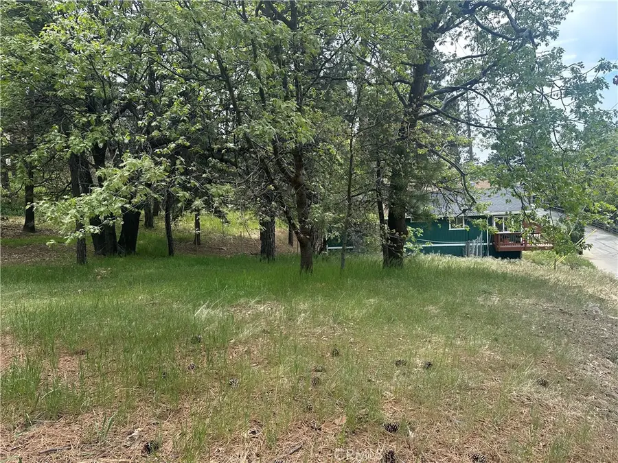 0 Deer Lick Lane, Running Springs, CA 92382 - #3