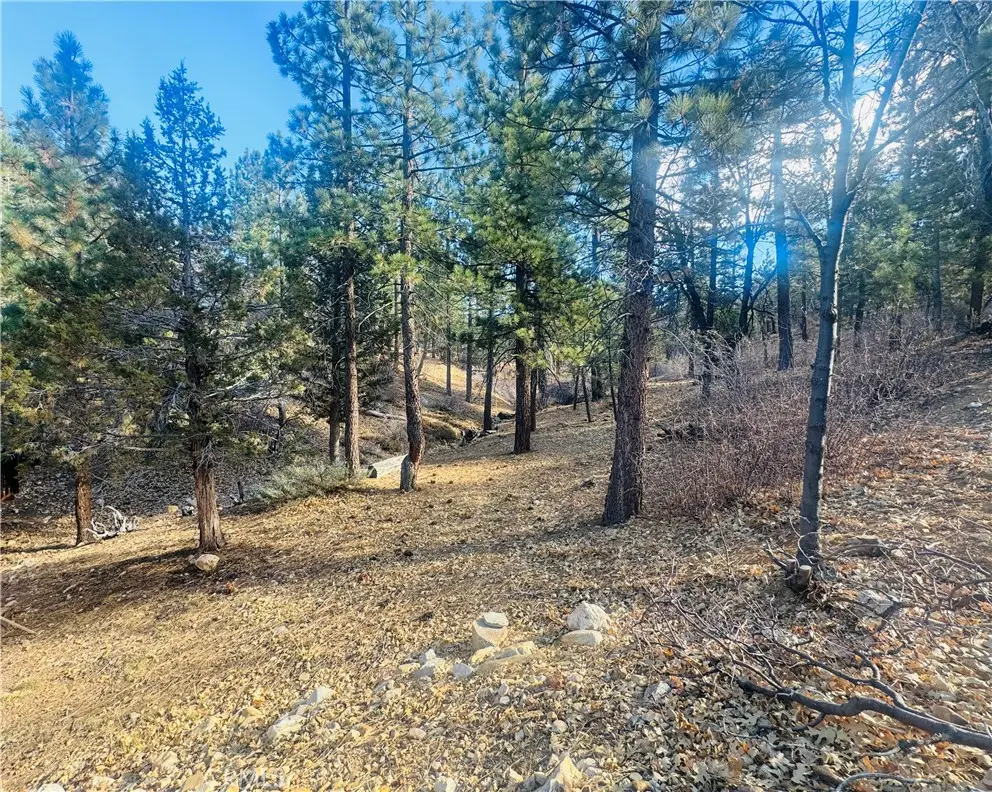 899 Kern Avenue, Sugarloaf, CA 92386 - #1