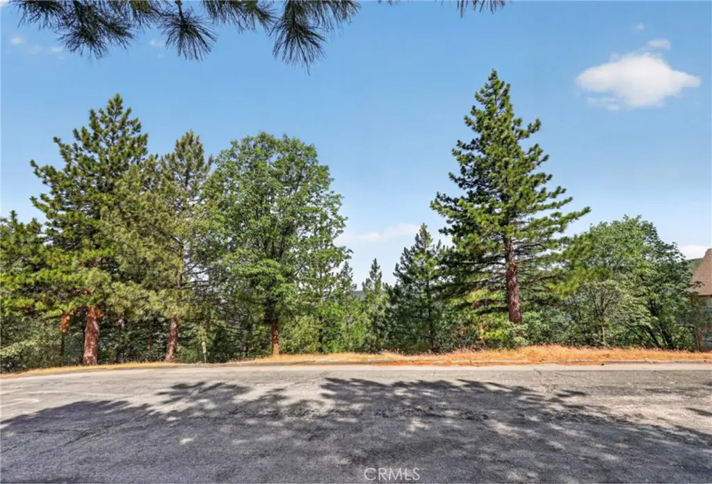 30308 Leprechaun, Running Springs, CA 92382 - #1