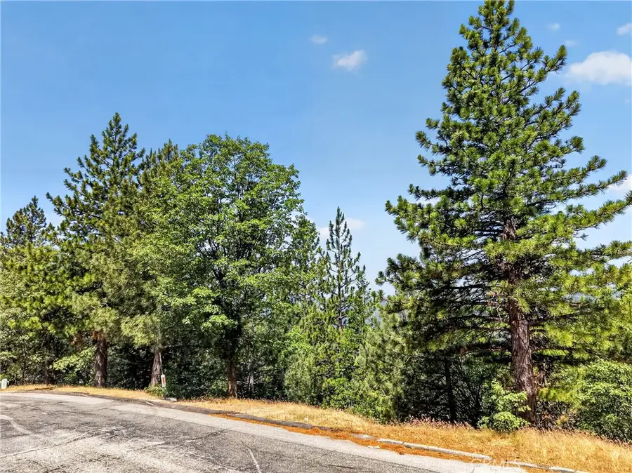 30308 Leprechaun, Running Springs, CA 92382 - #3