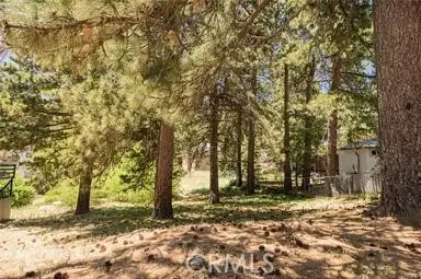0 Ca-189, Twin Peaks, CA 92391 - #3