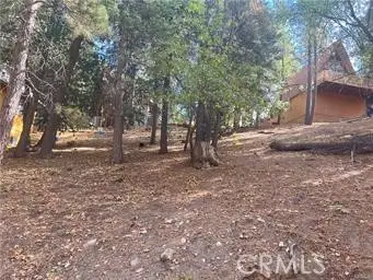 0 Encina, Running Springs, CA 92382 - #3