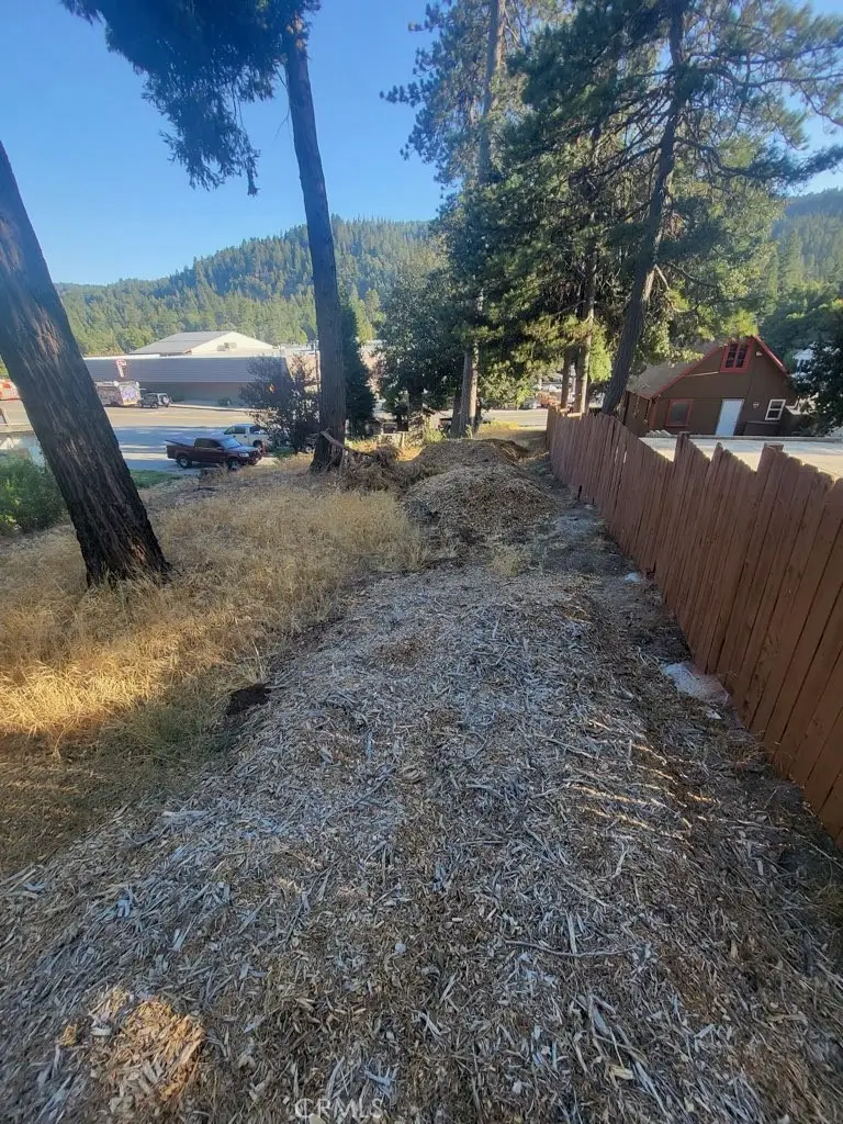 0 Lake Drive, Crestline, CA 92325 - #3